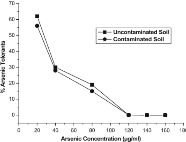 Fig. 1 Percentage of culturable diazotrophic bacteria tolerant to different arsenic concentrations in contaminated and  uncon-taminated soils