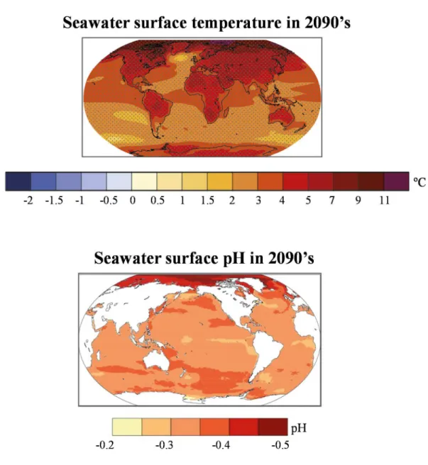 Figure 1.2. Expected seawater surface temperature and pH in the planet by the end of twenty  first  century  (projections  according  to  RCP8.5  of  the  IPCC  Fifth  Report  Assessment,  2014)