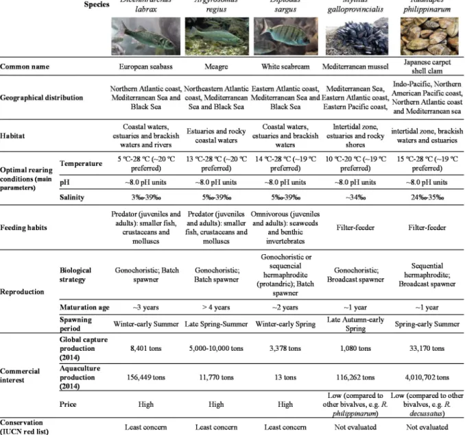 Table 1.2. Summary of the ecological features and commercial importance of the marine fish  and bivalve species selected as biological models of this PhD thesis