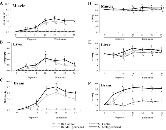 Figure 2.1.2. Methylmercury (MeHg) concentrations (mg kg -1  of wet weight) and %MeHg  (%) in three tissues (muscle, liver and brain) of juvenile seabass (mean ± standard deviation; n =  6) sampled from each treatment, during the trials