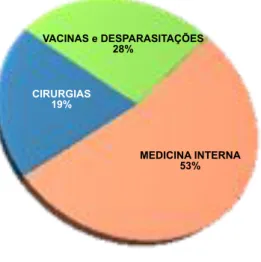 Gráfico  2:  Distribuição  da  casuística  observada durante o estágio curricular.