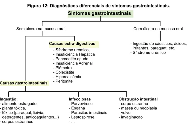 Figura 12: Diagnósticos diferenciais de sintomas gastrointestinais.