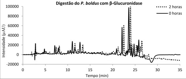 Figura 7- Cromatograma do extracto Peumus boldus (decocção) após 2 horas de digestão com β-Glucuronidase 