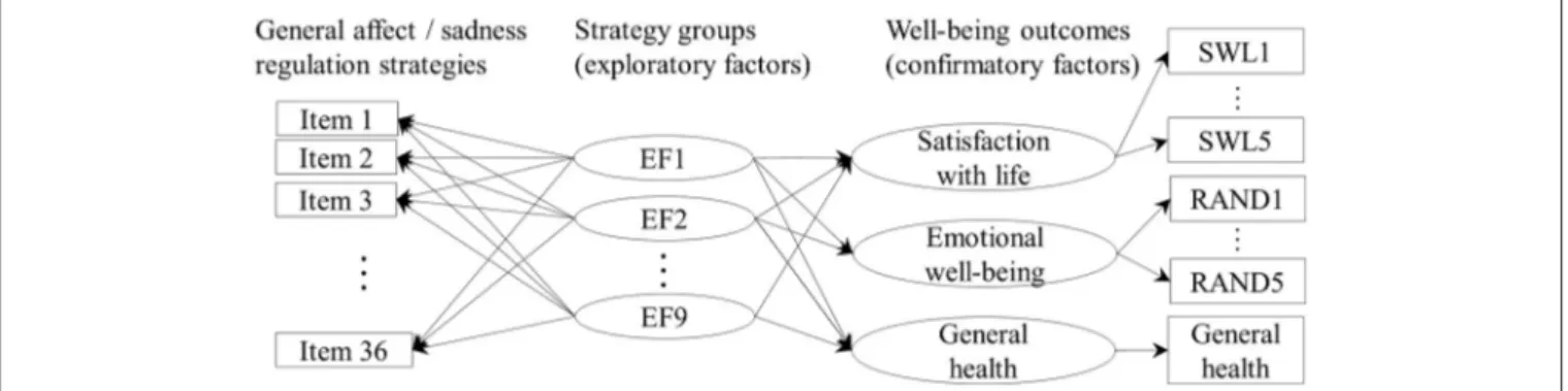 FIGURE 1 | A diagram of the ESEM models showing the potential relationships assessed. For clarity, the arrows indicating residual variance of the factor indicators and the correlations between the factors are not shown.