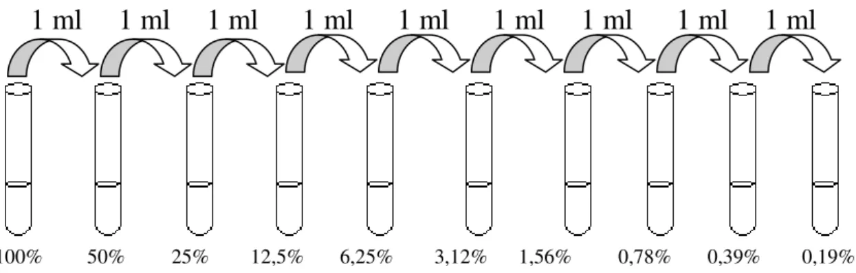 Figura 24 – Procedimento de diluição sucessiva do produto experimental 