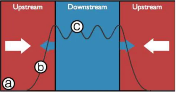 Figure 2. An electrostatic shock forms in the interaction region of two counter propagating plasma slabs