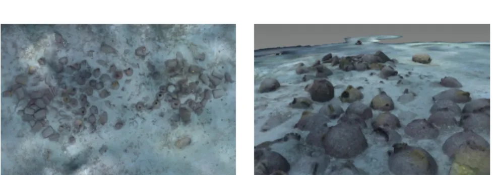 Fig. 1. Example of obtained models for the underwater site Xlendi. An Overall orth- orth-photo (left) and a close-up view of the generated 3D model (right)
