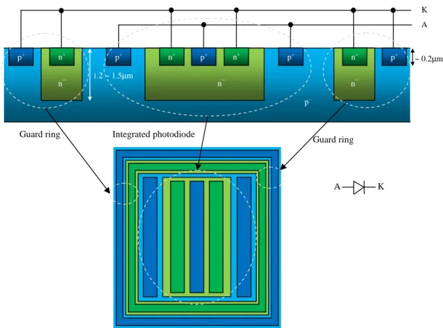 Fig. 3.22 depicts a simplified representation of the structure of the integrated photodiode  that was laid out
