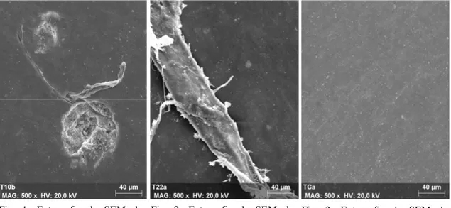 Fig.  3:  Fotografia  de  SEM  de  amostra  de  Tetric  EvoCeram ® exposta a água destilada (x500)