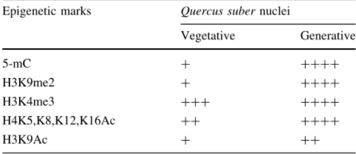 Table 1 Comparative intensity of epigenetic marks between the vegetative and generative nuclei of Quercus suber mature pollen, from immunolabelling