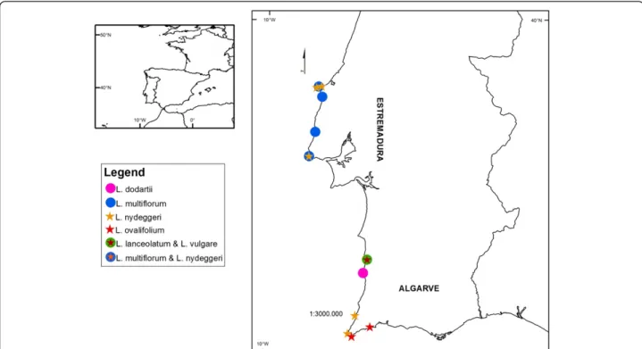 Figure 3 Diploid and tetraploid Limonium populations sampled in continental Portugal in Sites of Community Interest