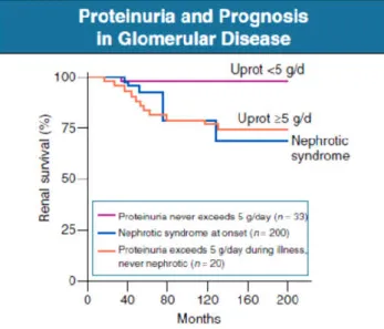 Figura  1.  Proteinúria  e Prognóstico  de  Doença  Glomerular.  A  influência  de  proteinúria  marcada  na  função  renal  a  longo  prazo  em  253  doentes  com  doença  glomerular  primária  em  Manchester  Royal  Infirmary,  Reino  Unido