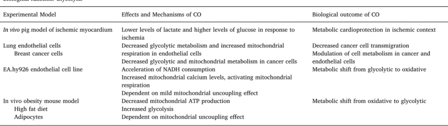 Fig. 4. CO promotes mild uncoupling effect in mitochondria. CO-induced mild uncoupling is  de-pendent on ANT and UCP and this event is associated with anti-inflammatory role of CO