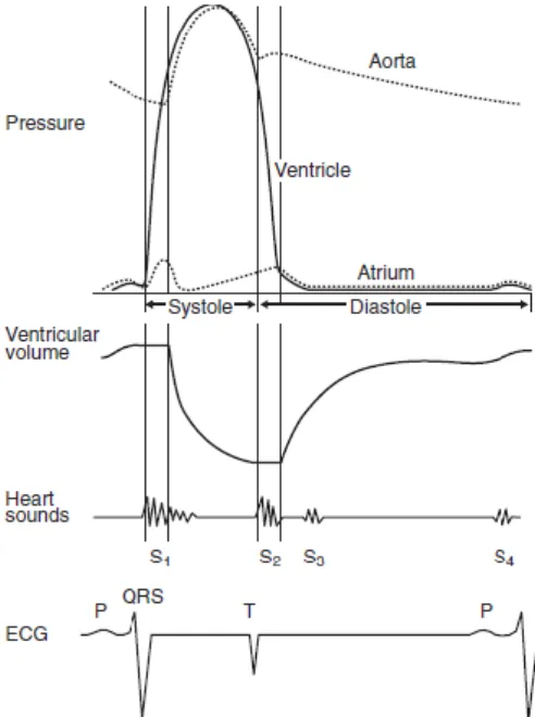 Fig 1 - Typical cardiac cycle diagram representing important electrical, mechanical and acoustical  events occurring on the left side of the heart using a common time axis (Adapted from: Bright &amp; 