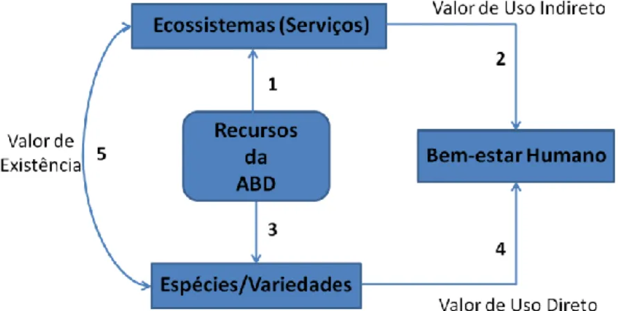 Figura 4: Valores econômicos dos recursos da Agrobiodiversidade e suas formas de uso. 
