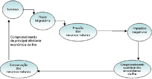 Figura 4.1 - Fluxo relacionando a cascata de reações envolvendo o turismo e a conservação do patrimônio  natural do arquipélago de Fernando de Noronha