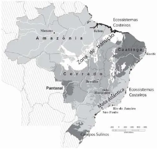Figura 1.1 - Principais biomas do Brasil, baseados nas ecorregiões terrestres definidas por Dinerstein (1995)