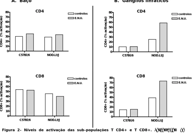 Figura 2- Níveis de activação das sub-populações T CD4+ e T CD8+. Percentagem de  expressão de CD69 nos linfócitos T CD4+ (painel superior) e T CD8+ (painel inferior) viáveis em  suspensões celulares enriquecidas em células T provenientes de baços (A.) e g