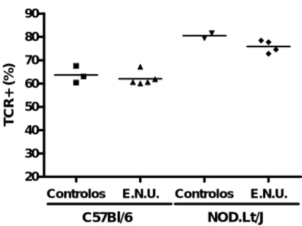 Figura 3- Percentagem de células T. Linfócitos T provenientes de gânglios  linfáticos de murganhos fêmea submetidos a suplementação oral ad libitum durante  2 semanas com extracto natural de uvas (E.N.U.) na água de bebida (diluição 1:20),  e respectivos c