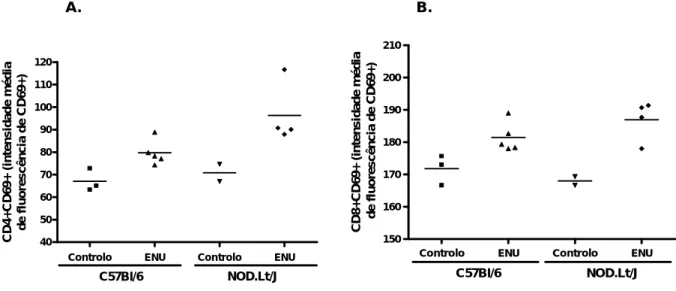 Figura 6- Percentagem de activação de células T CD4+ e T CD8+. Intensidade média  de fluorescência de CD69 das células A.)  T CD4+ activadas e B.) T CD8+ activadas