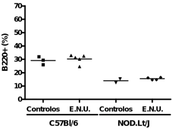 Figura 7- Percentagem de células B viáveis. Linfócitos viáveis que expressam o  marcador B220 provenientes de gânglios linfáticos de murganhos fêmea submetidos  a suplementação oral ad libitum durante 2 semanas  com extracto natural de uvas  (E.N.U.) na ág