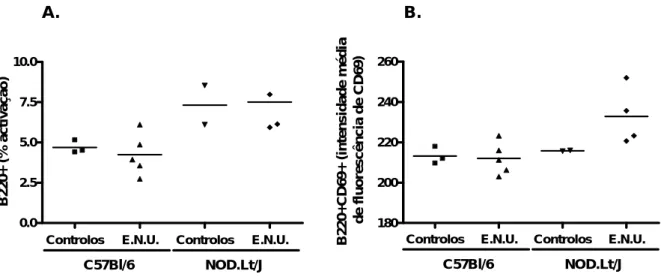 Figura 8- Linfócitos B activados. Células B que expressam o marcador de activação  CD69 de gânglios linfáticos de murganhos fêmea submetidos a suplementação oral ad  libitum durante 2 semanas  com extracto natural de uvas (E.N.U.) na água de bebida  (dilui