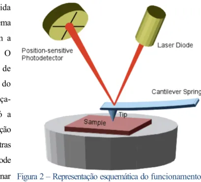 Figura 2 – Representação esquemática do funcionamento  do  Microscópio  de  Força  Atómica:  O  laser  díodo  permite  a  deteção  da  deformação  do  cantilever,  induzida pela topografia da amostra