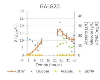 Figura 10 – Resultado experimental em biorreactor operado  em  fed-batch  com  GALG20  com  glucose  como  fonte  primária  de  carbono  e  ar  enriquecido  em  oxigénio  puro  a  partir das 24h de fermentação.
