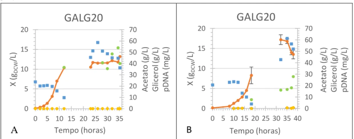 Figura 13 – Ensaios experimentais em biorreactor operado em  fed-batch com GALG20 com  glicerol como fonte  primária de carbono