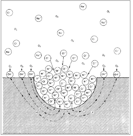 Figura 2.1 - Processo autocatalítico de corrosão por picada, induzido por iões Cl - [32] 