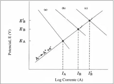 Figura 2.9 - Efeito da ligação galvânica de um metal (A) a cátodos de diferentes tamanhos, sendo que (a) indica  a redução em A, (b) indica a redução em B e (c) indica a redução em B’  [Adaptado de 35]