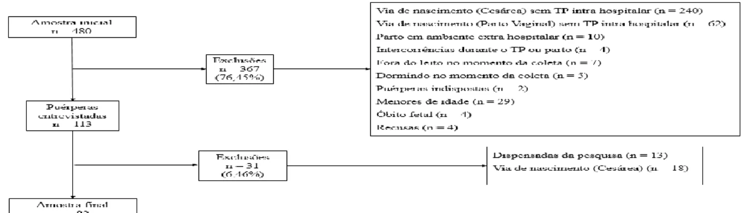 Figura 1. Seleção das puérperas para estudo. Uberlândia (MG), Brasil, 2017.