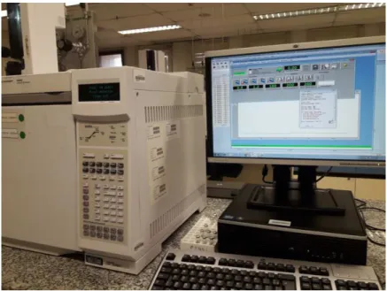 Figura 5 - Cromatógrafo Gasoso Agilent Technologies® 6890N com detector de ionização  em chama acoplado a uma estação de trabalho com os softwares MSD ChemStation e Enhanced Data 