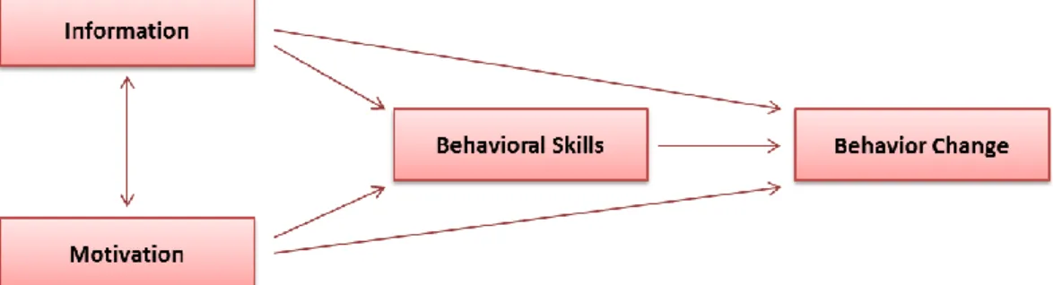 Figure 1: Information-motivation-behavioral skills model 
