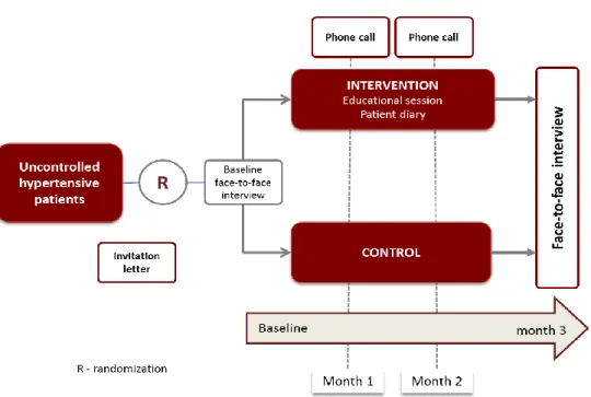 Figure 3: HyDia study design 
