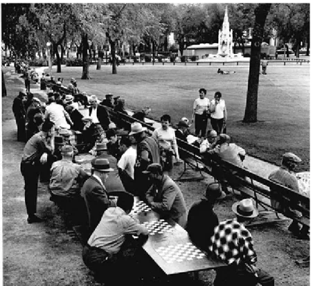Fig. 6 Central Park, New York. 