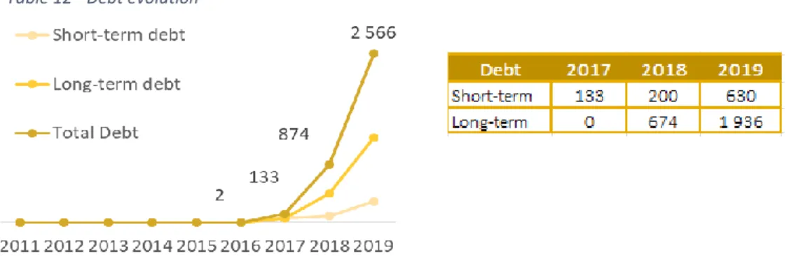 Table 12 - Debt evolution 
