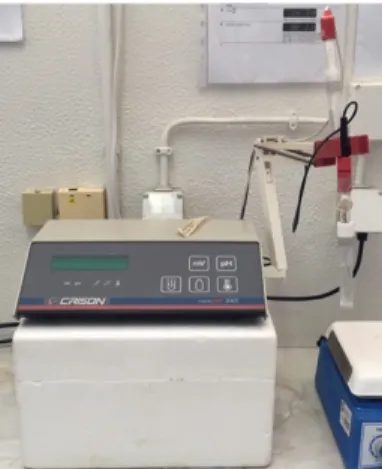 FIGURE 14. pH meter (Crison Micro pH 2001, Hach Lange, Barcelona, Spain). 