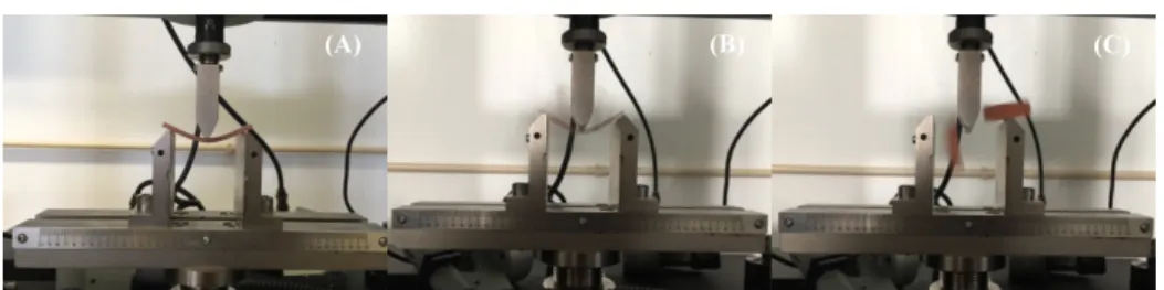 FIGURE 26. Specimen submitted to three-point loading flexural strength test in a universal machine