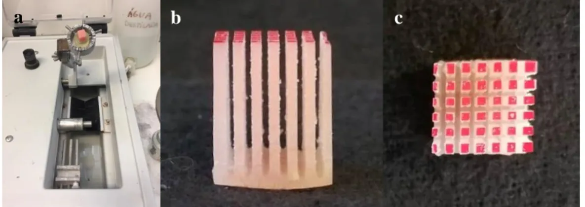 Figure 3.3.3 – Preparation of specimens: a) Position on Isomet cutting machine; b) and c) After section in X  and Y axis to obtain sticks