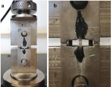Figure 3.3.5 – Positioning the stick in the Geraldeli’s Jig with the interface centered, using the  stereomicroscope