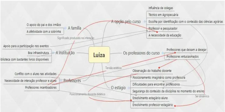 Figura 11. Mapa semiótico de Luiza. 