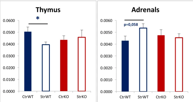Figure 5 – Thymus and Adrenals weight (g) of animals of our previous experiment. Results  are  shown  as  mean  ±  SEM