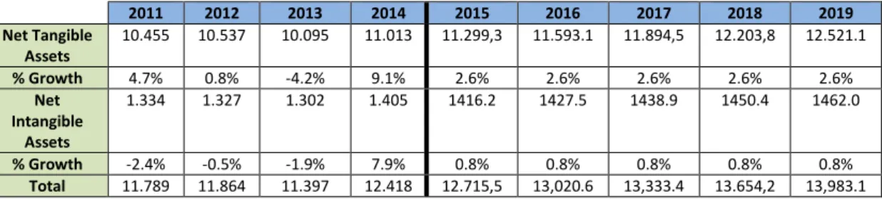 Table 12 - Assets Assumptions (€ million) 