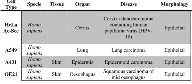 Table 2 - Cell lines characteristics (data obtained by ATCC and Sigma)  (http://www.lgcstandards-atcc.org/ 