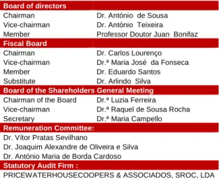 Table 10: Governance model (Source: Company data) 