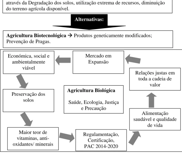 Figura 1 – Quadro resumo 