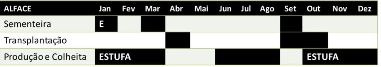 Tabela 2 – Calendário de produção Alface 