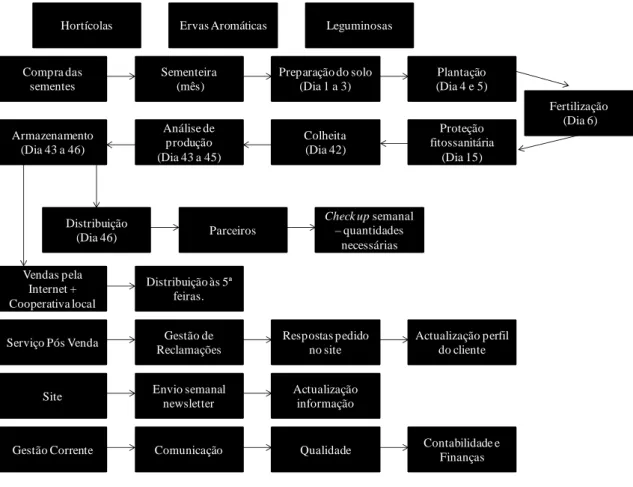 Figura 7 – Processos 