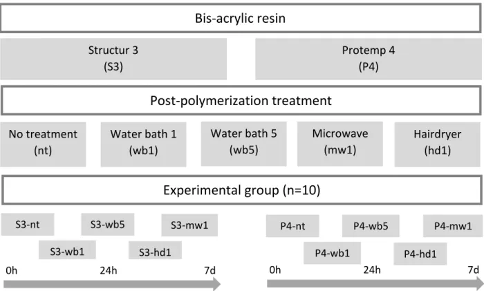 Figure 3: No treatment group 